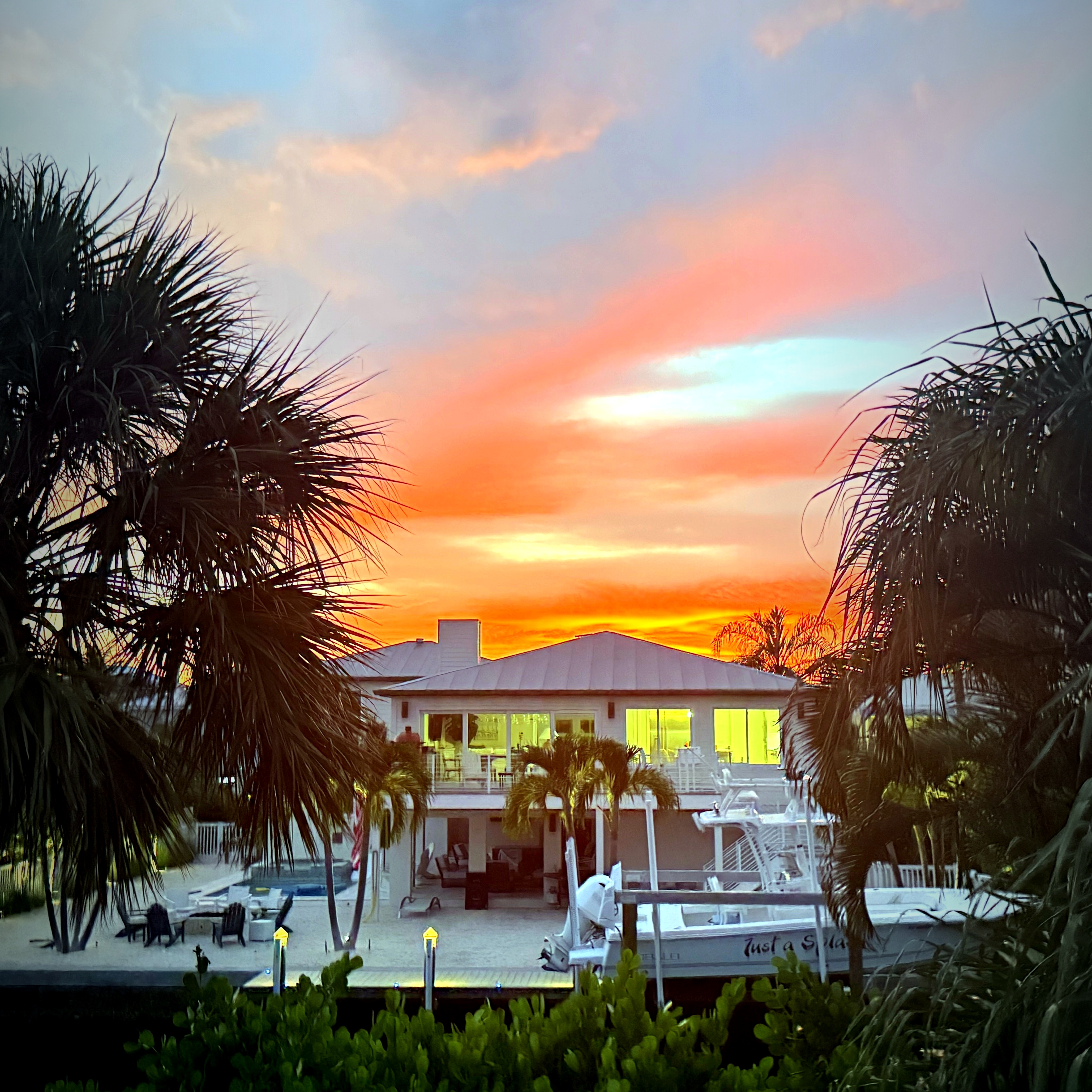 Gulf Coast sunset palms